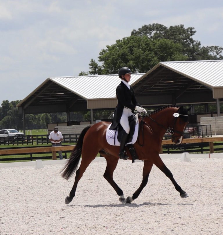 Behind Every Horse is an even Greater Team!